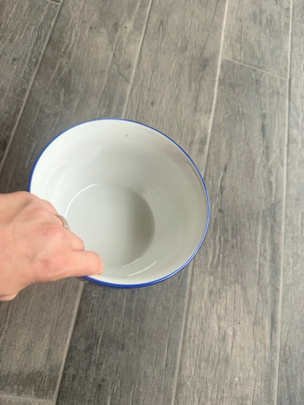 Williams Sonoma Blue and White Cherry Blossom Bowl